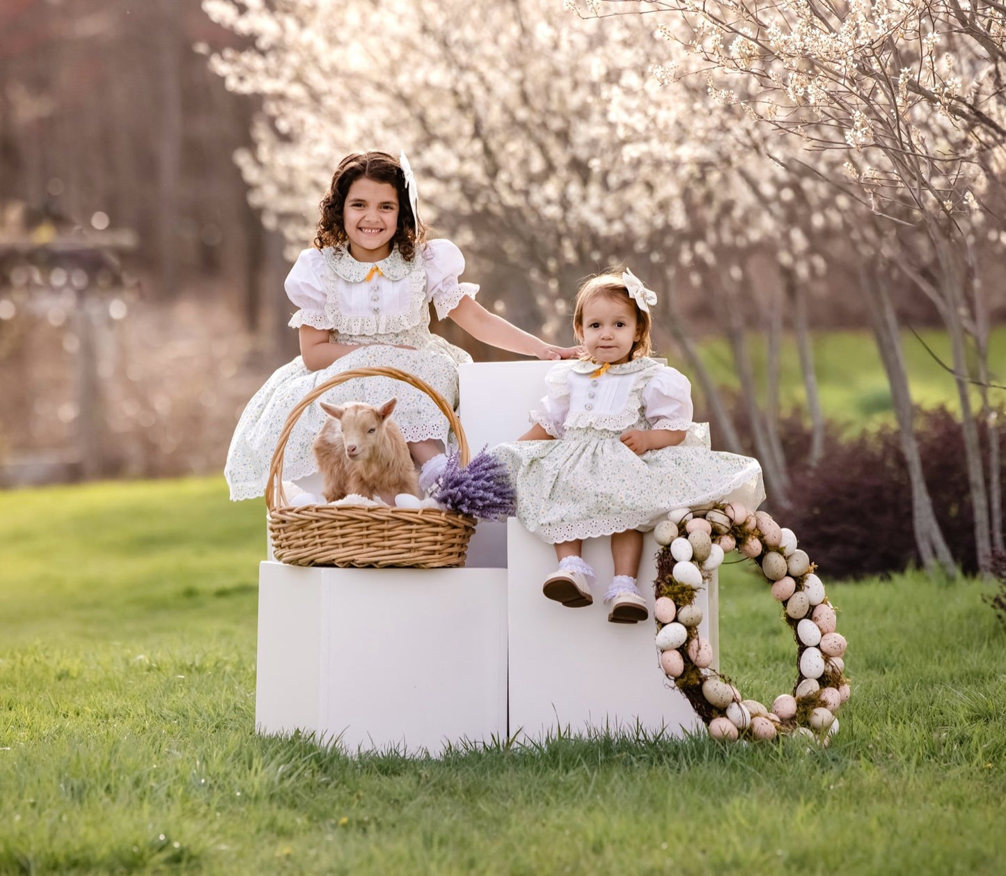 Blossom Belle Dress (PRE-ORDER)